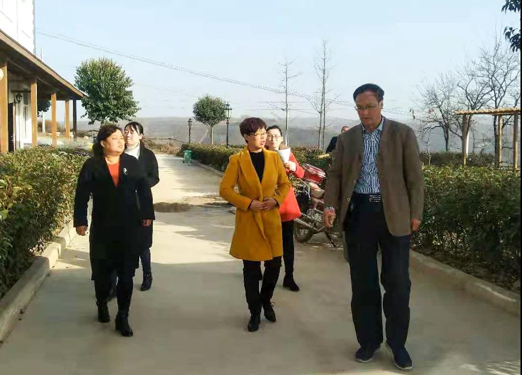 淳化縣政府領(lǐng)導(dǎo)到三八婦樂(lè)藥用植物種植基地調(diào)研