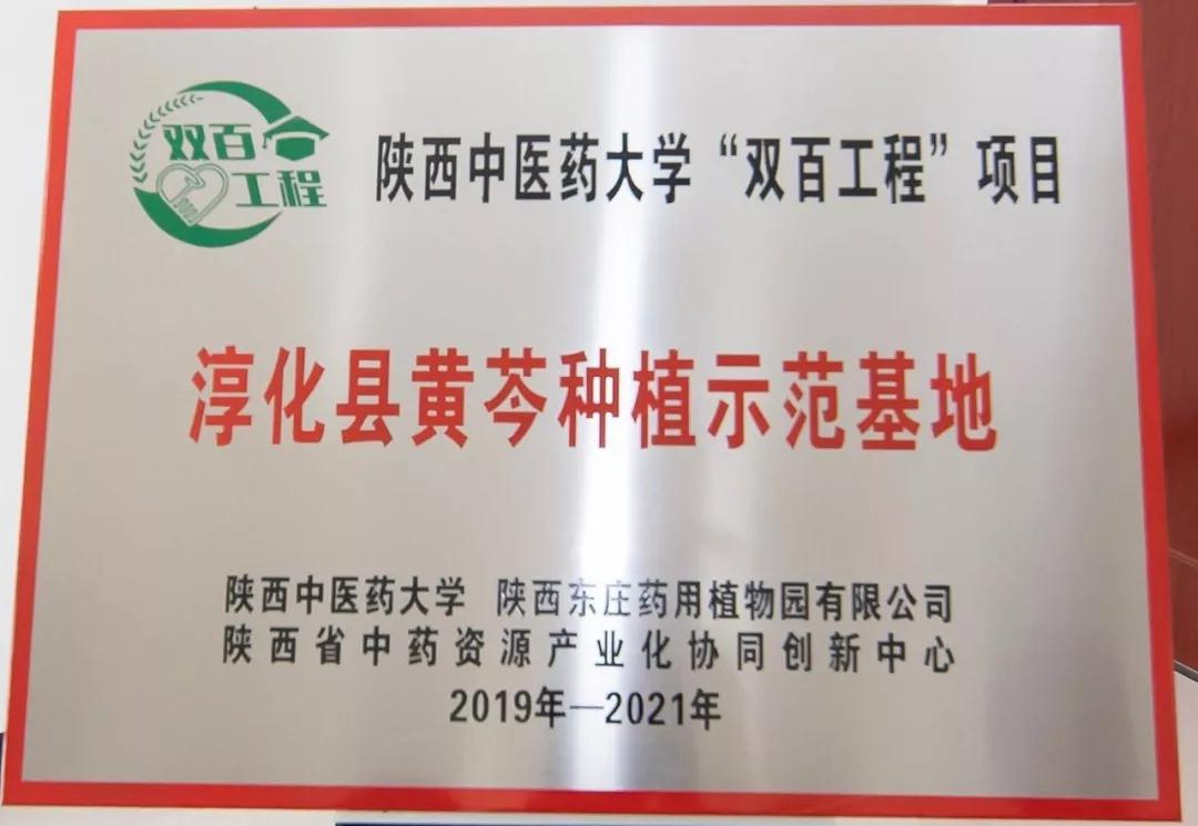 三八婦樂藥用植物園獲陜西中醫(yī)藥大學授牌，打造黃芩種植示范基地