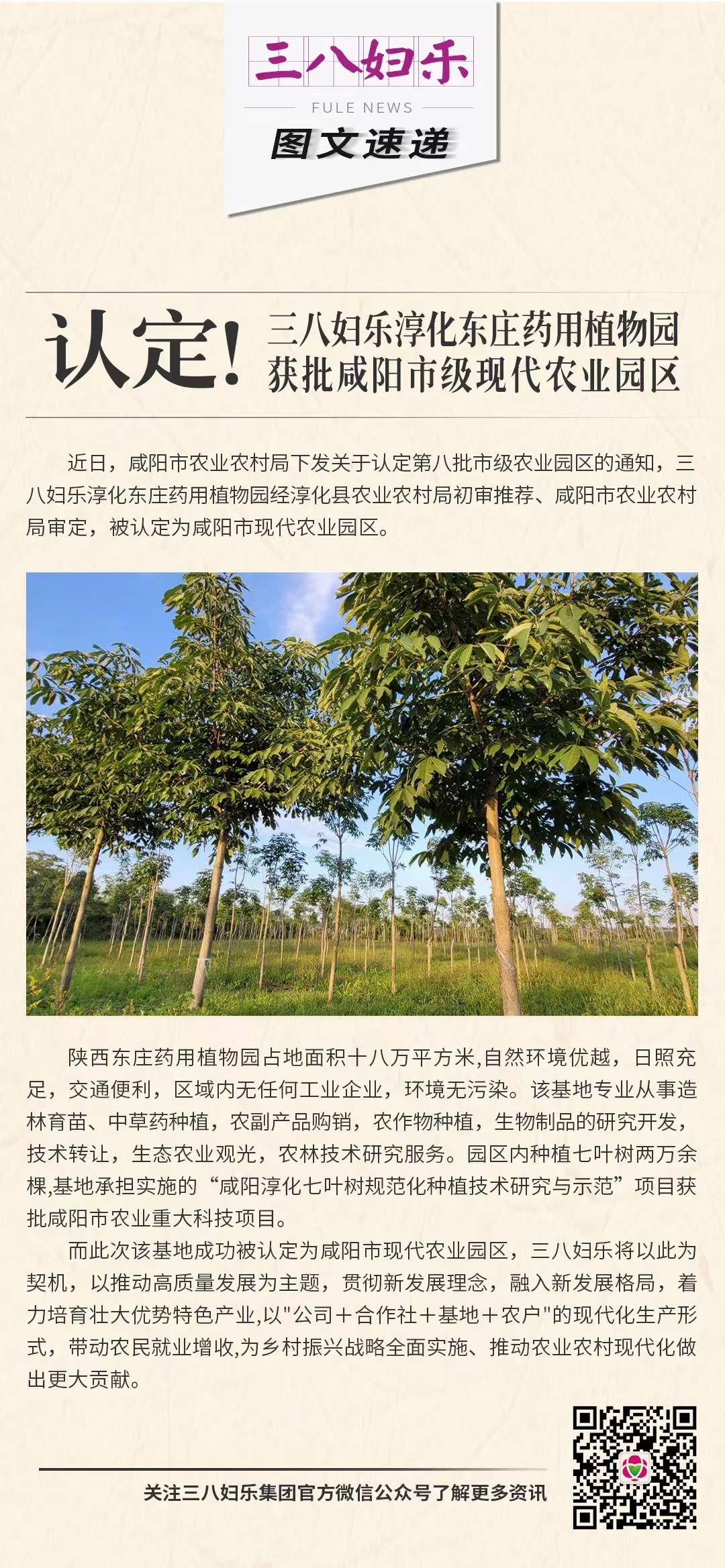 認(rèn)定！三八婦樂淳化東莊藥用植物園獲批咸陽市級現(xiàn)代農(nóng)業(yè)園區(qū)